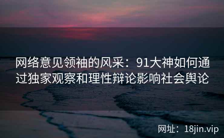网络意见领袖的风采：91大神如何通过独家观察和理性辩论影响社会舆论