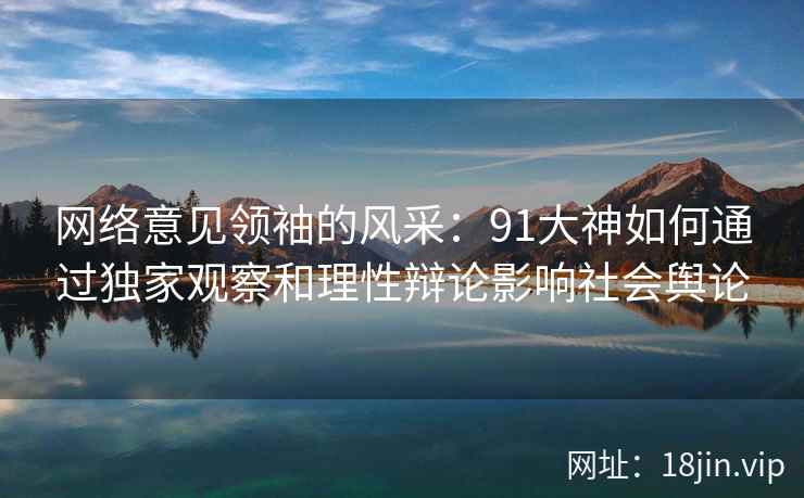 网络意见领袖的风采：91大神如何通过独家观察和理性辩论影响社会舆论