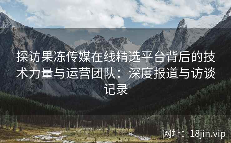 探访果冻传媒在线精选平台背后的技术力量与运营团队：深度报道与访谈记录