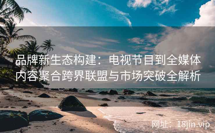 品牌新生态构建：电视节目到全媒体内容聚合跨界联盟与市场突破全解析