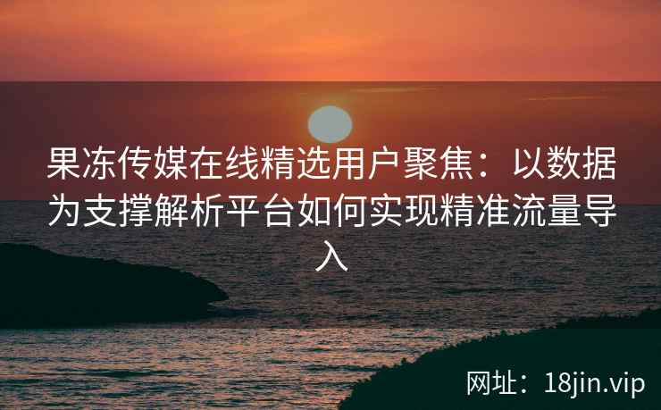 果冻传媒在线精选用户聚焦：以数据为支撑解析平台如何实现精准流量导入